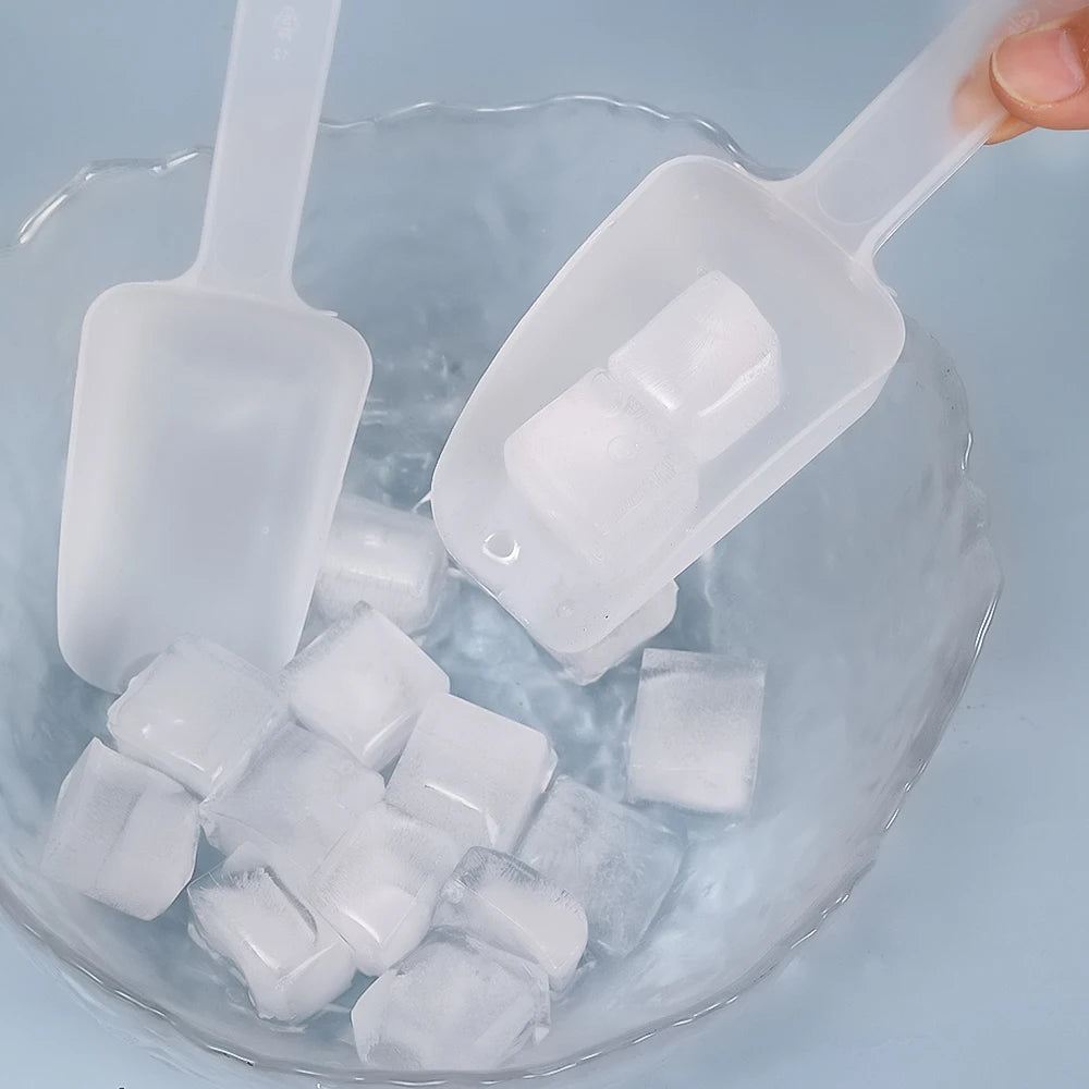 Pás de Plástico Multiuso – Transparente – 5 ou 10 Unidades