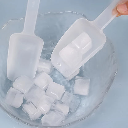 Pás de Plástico Multiuso – Transparente – 5 ou 10 Unidades
